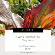 8 Ways To Screen Your Neighbours