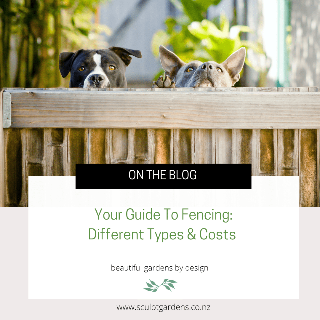 Your Guide To Fencing: Different Types & Costs