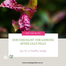 A Checklist For Looking After Your Lilly Pilly Hedge