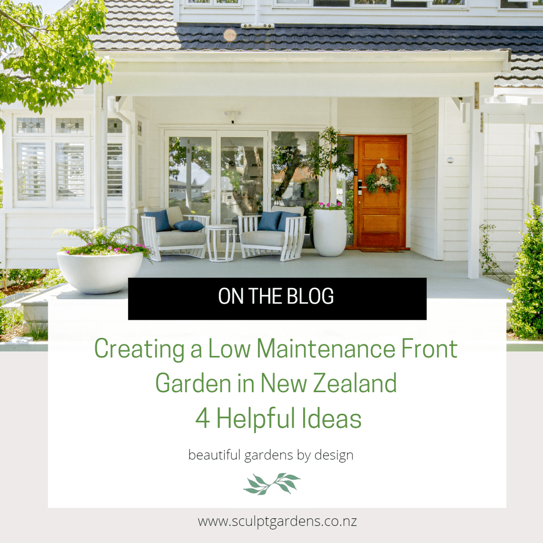 Creating A Low Maintenance Front Garden In New Zealand 4 Helpful Ideas