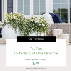 Top Tips For Perfect Pots This Christmas
