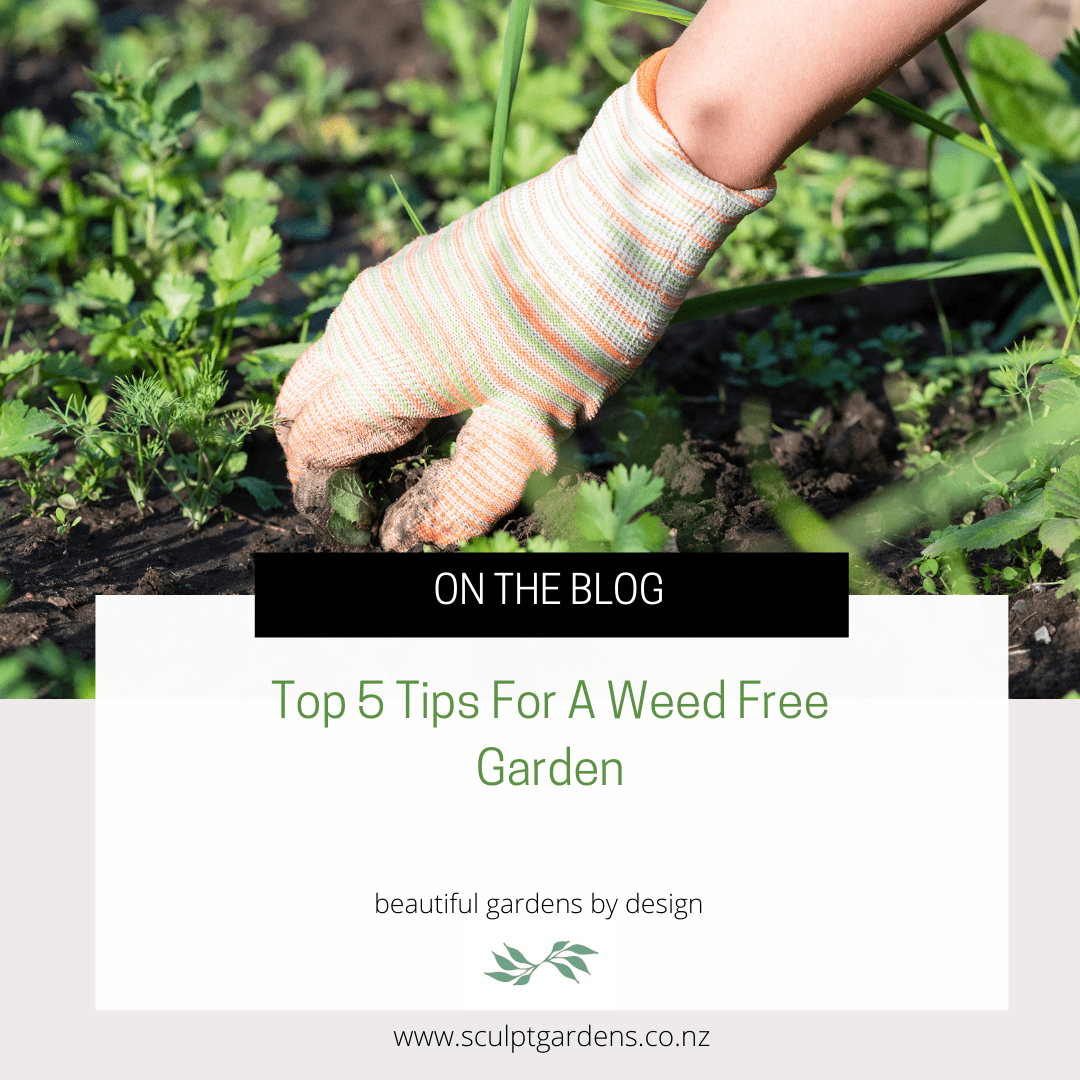 Top 5 Tips For A Weed Free Garden