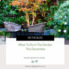 What To Do In The Garden This December