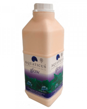 aquaticus glow