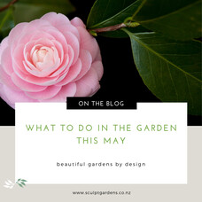 What To Do In The Garden This May