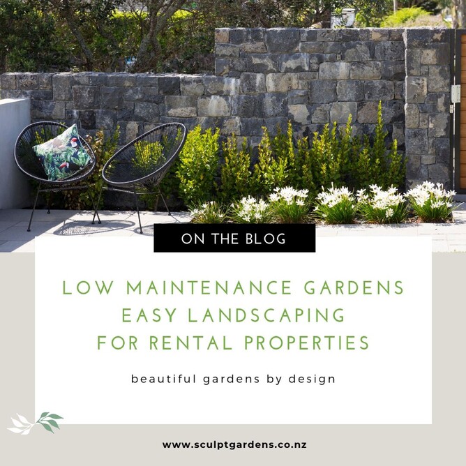 low maintenance gardens easy landscaping for rental properties