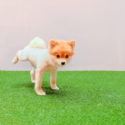 is artificial lawn pet friendly?