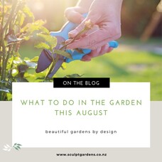 What To Do In The Garden This August