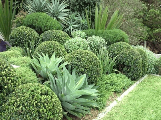 Your Ultimate Guide Design A Native New Zealand Garden Design A Native New Zealand Garden, How To Plan A Garden Nz