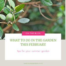 What To Do In The Garden This February