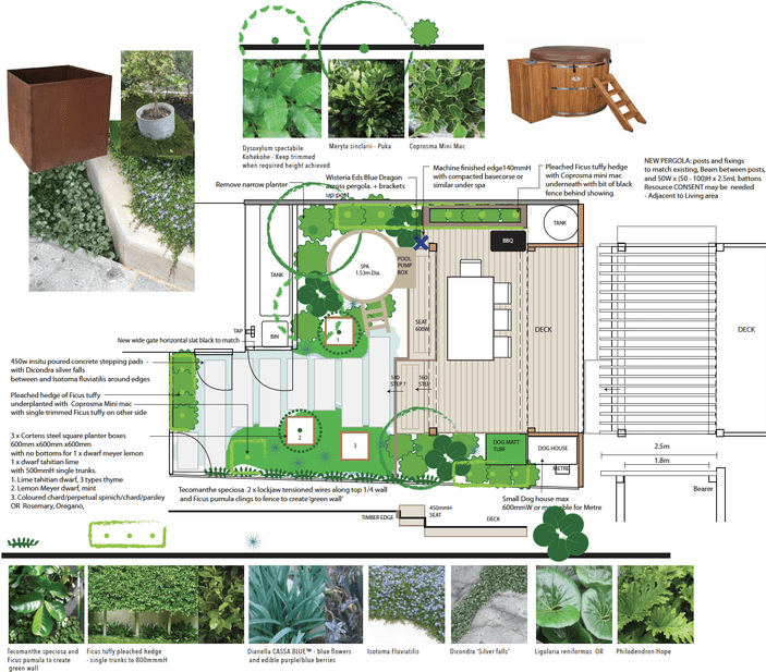 garden design with spa pool