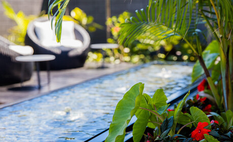 container planting auckland