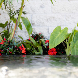 Sculpt Garden Design Tips