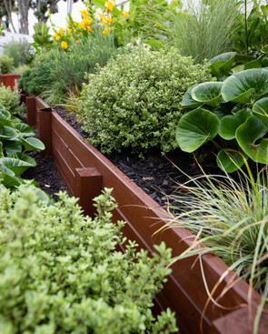 mixed planting ideas