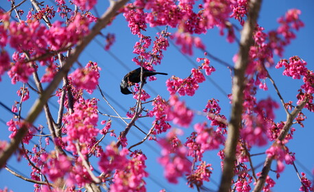 Milford Poolside - Pool