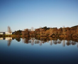 TERMS AND CONDITIONS