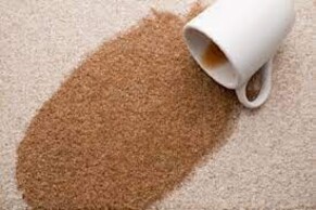 5 Most Common Carpet Stains and How to Remove Them