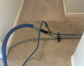 Common Carpet Stains And How To Get Rid Of Them