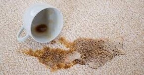 5 Most Common Carpet Stains and How to Remove Them