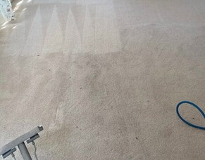 Cleaning Carpets Yourself May Do More Damage