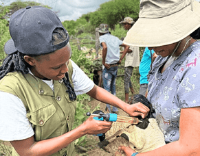MAF flies 18 Veterinarians to Kenya to Offer Free Treatment