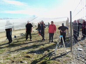 Fencing the Compound with Bird Proof Netting