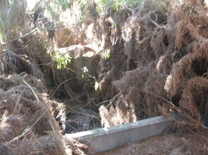 Bell's Pond Raceway Before