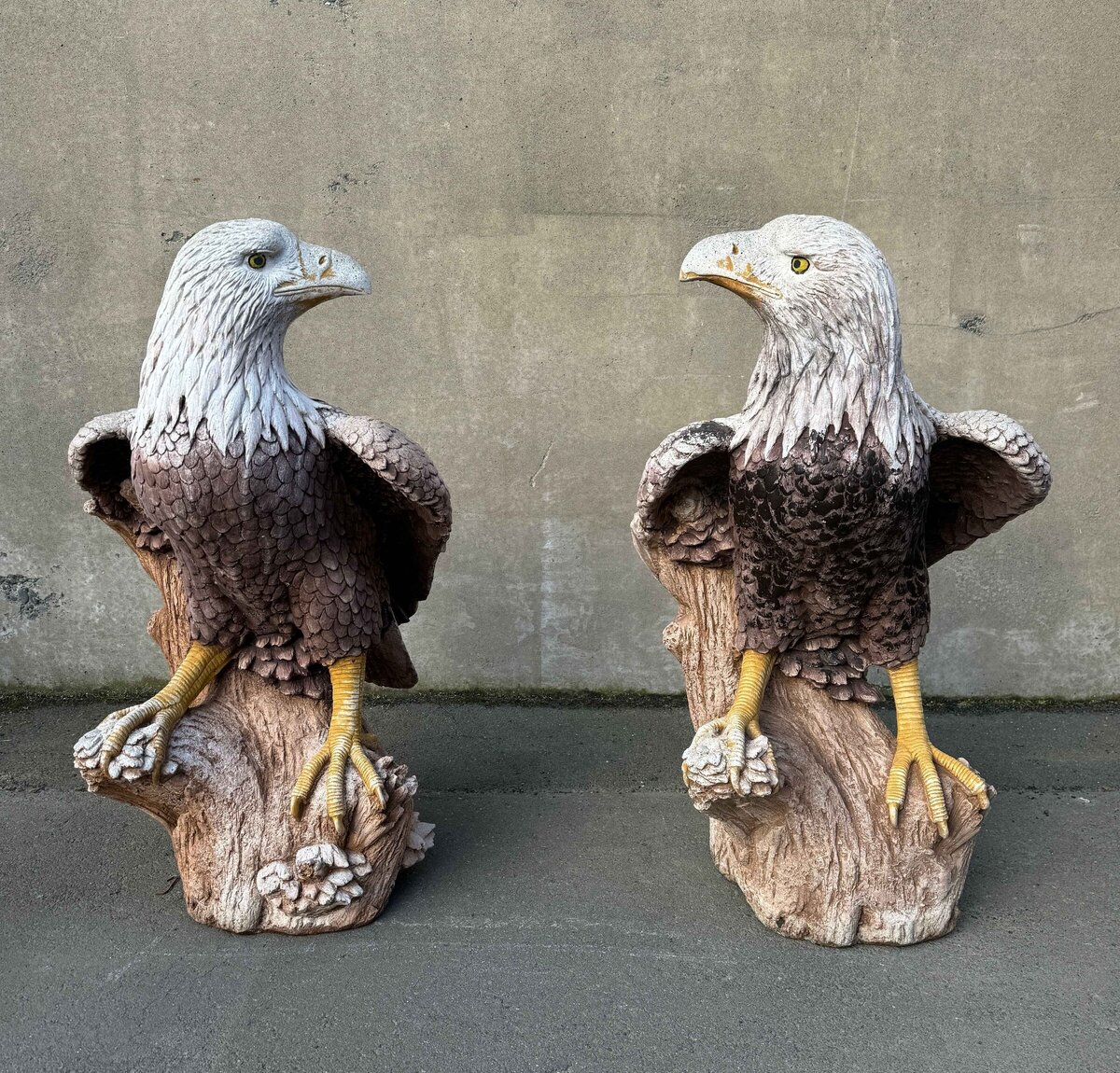 Curated visual reference: Visual Reference: Halswell Traders Second Hand Home Decor Christchurch
