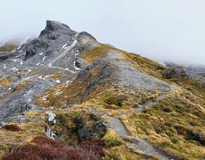 Mount Arthur Summit Track