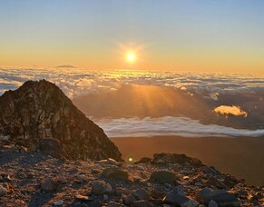 Taranaki Summit Track