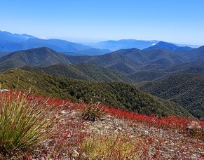 Lodestone Summit Track