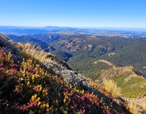 Kaweka J Summit Track