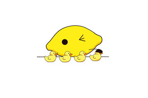 There&rsquo;s no better time than now to get your ducks in a row