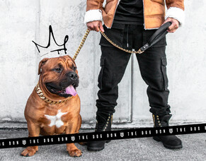 Loyalty deserves Royalty