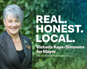 Local Election Hoardings - A Spin Off Glowing Review