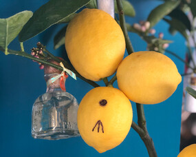 How we celebrate our clients on Labour Day