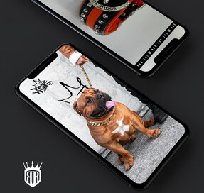 Rogue Royalty social media template example