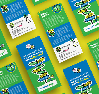 Levin Budget Service DL flyers