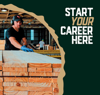 Graphics for a Mitchpine flyer, staff member stacking timber