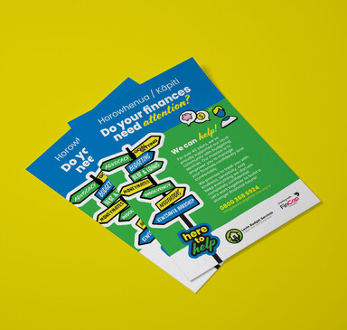 Levin Budget Service flyers