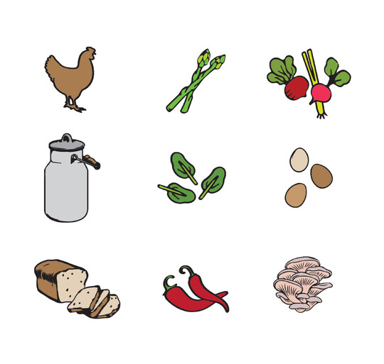 Taste trail colour illustrations