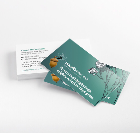Meridian General business cards