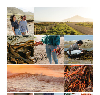 Shepherdess gallery page showing images of the beach, crayfish and seaweed