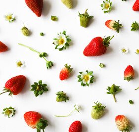 Creative layout of strawberries and strawberry flowers