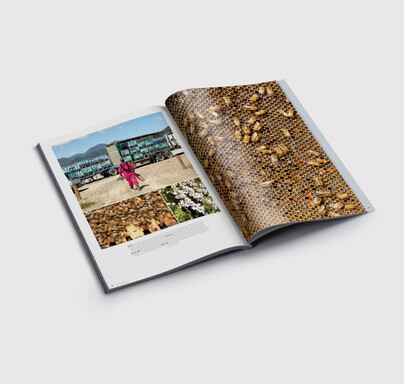 Shepherdess magazine spread