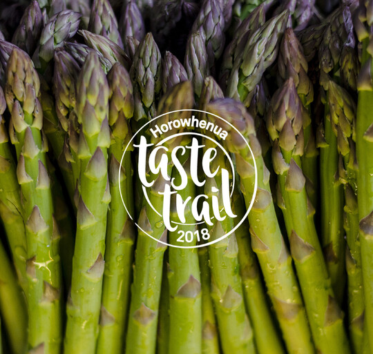 Horowhenua taste trail hero image of aspargus 2018