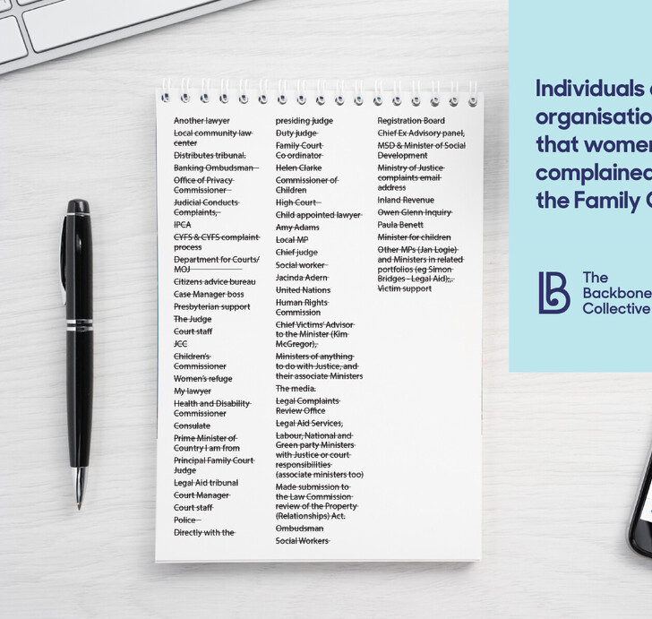 Infographics showing the organisations that women have complained to about the family court in NZ