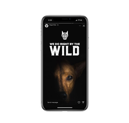 Social media story graphic