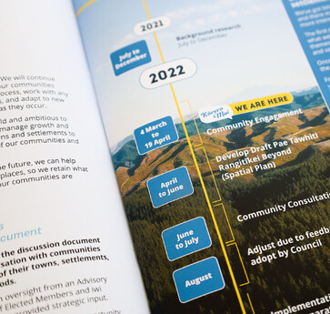 Consultation timeline infographic 