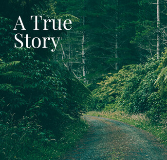 A gravel road in the bush